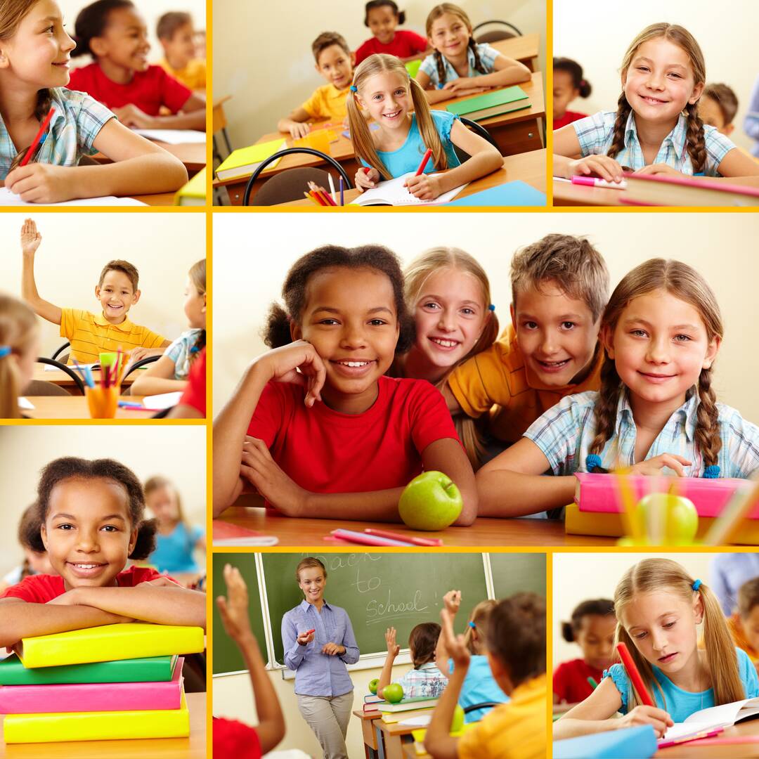 Learning Tree Schools