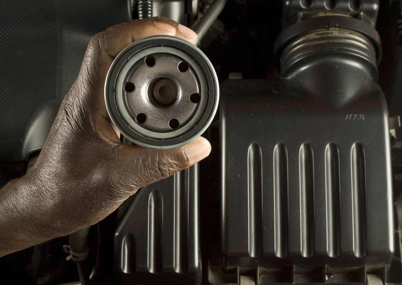 The Mechanics of Oak Lawn